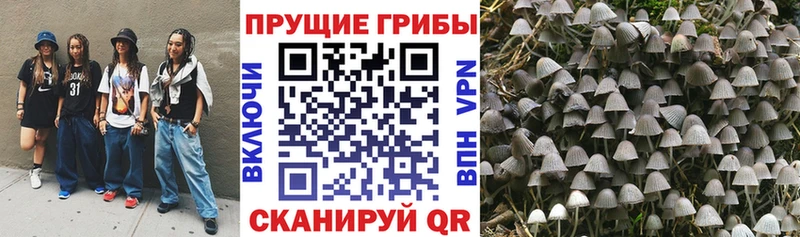 ОМГ ОМГ ССЫЛКА  закладка  Воскресенск  Галлюциногенные грибы Psilocybe 